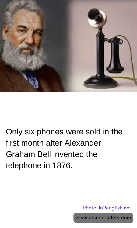 General Knowledge Learning Cards