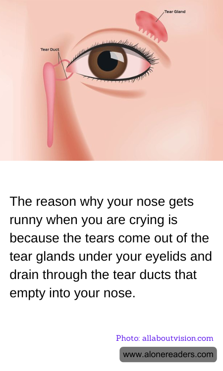 General Knowledge Learning Cards