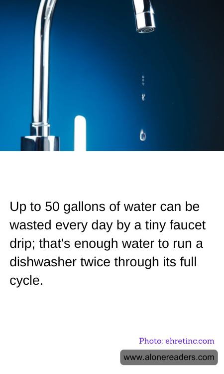 General Knowledge Learning Cards