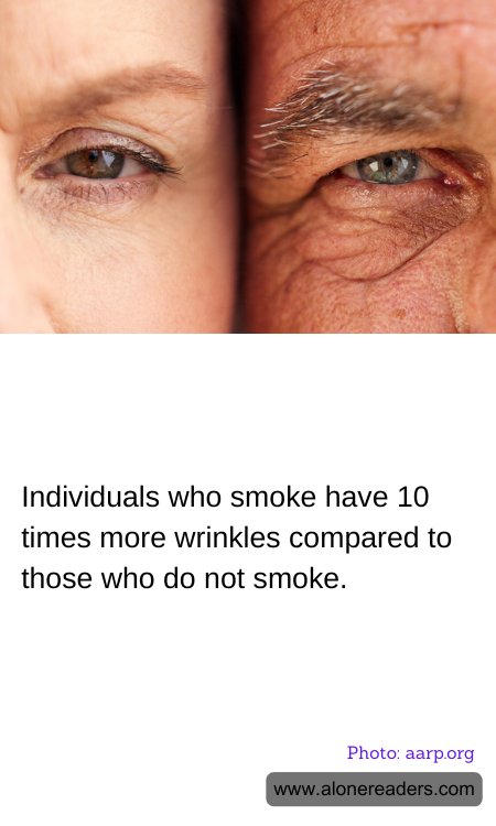 General Knowledge Learning Cards