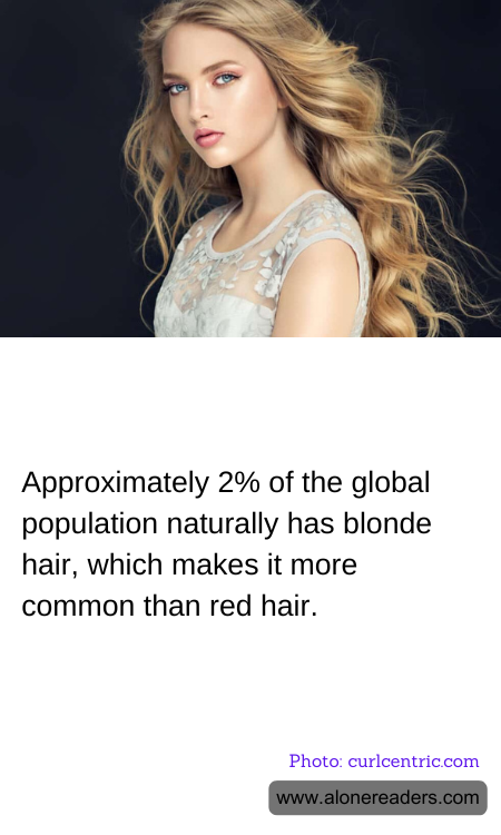 General Knowledge Learning Cards