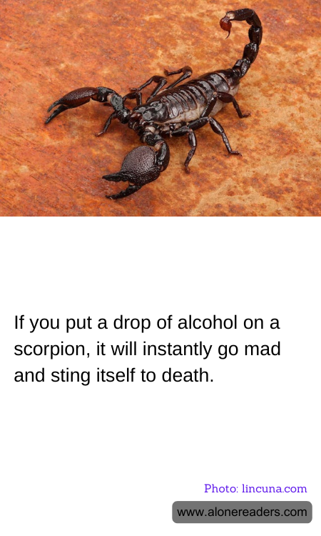 General Knowledge Learning Cards