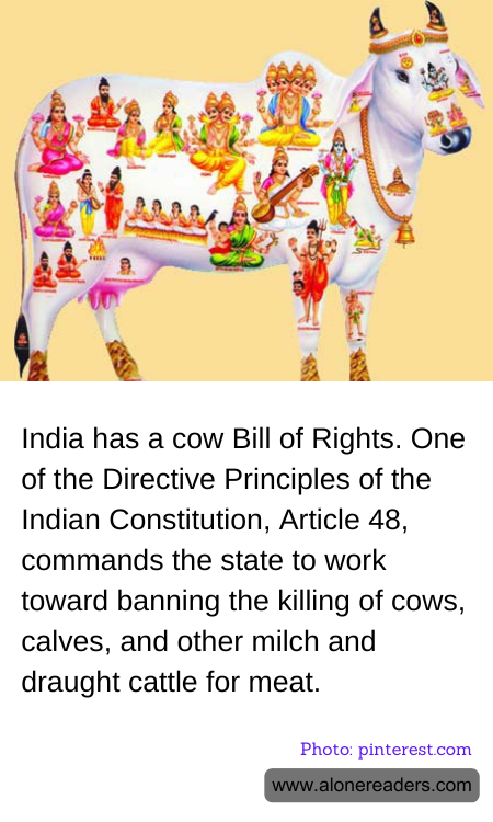 General Knowledge Learning Cards