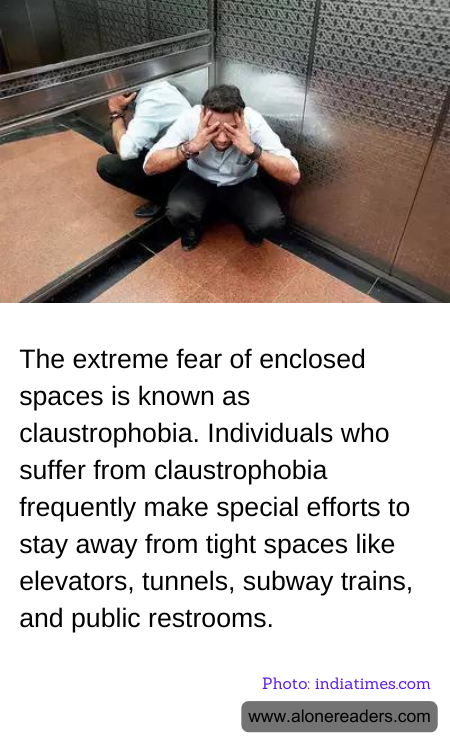 General Knowledge Learning Cards