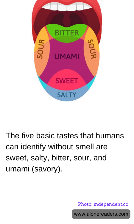 General Knowledge Learning Cards