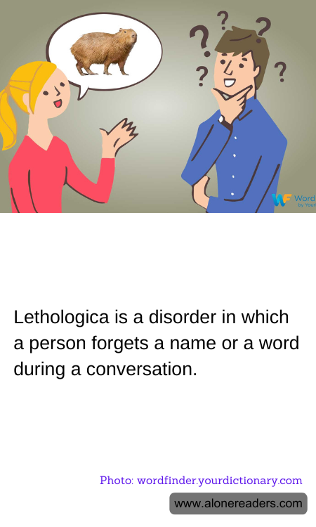 General Knowledge Learning Cards