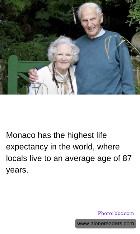 General Knowledge Learning Cards