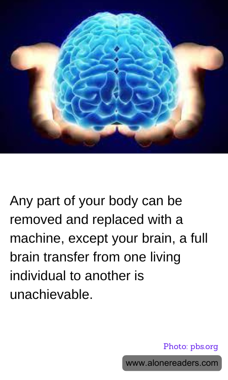 General Knowledge Learning Cards