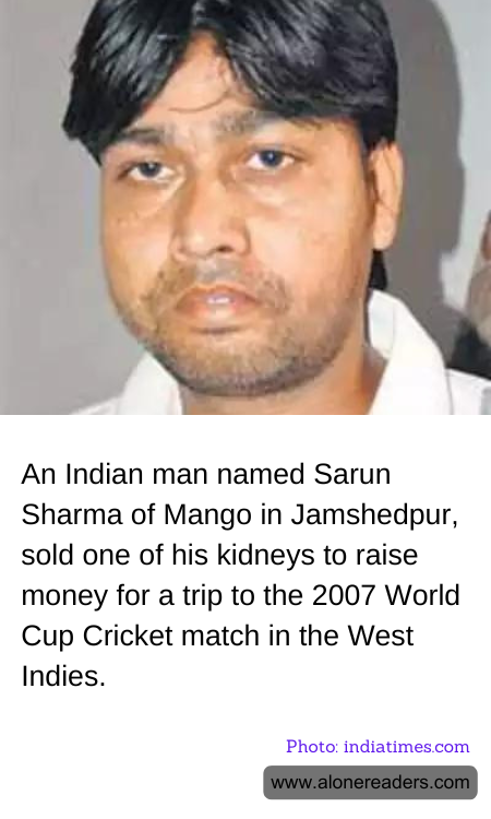 General Knowledge Learning Cards