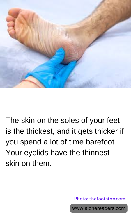 General Knowledge Learning Cards