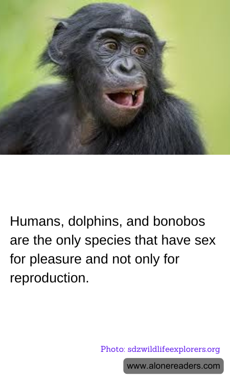 General Knowledge Learning Cards