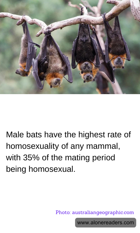 General Knowledge Learning Cards