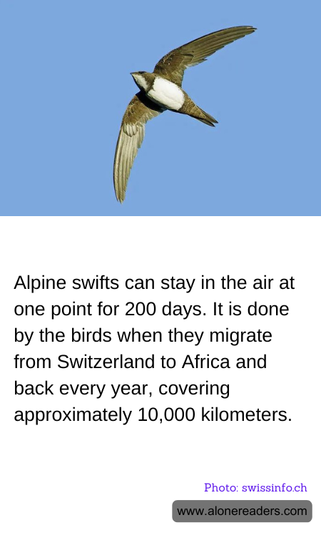 General Knowledge Learning Cards