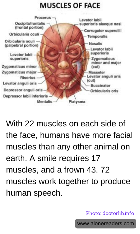 General Knowledge Learning Cards