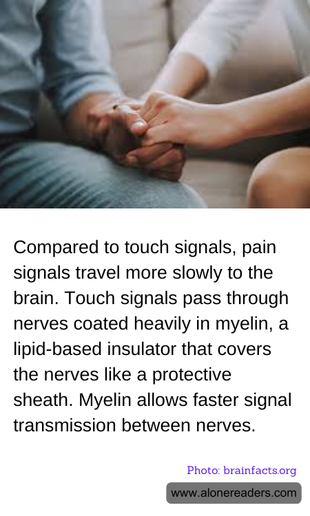 General Knowledge Learning Cards