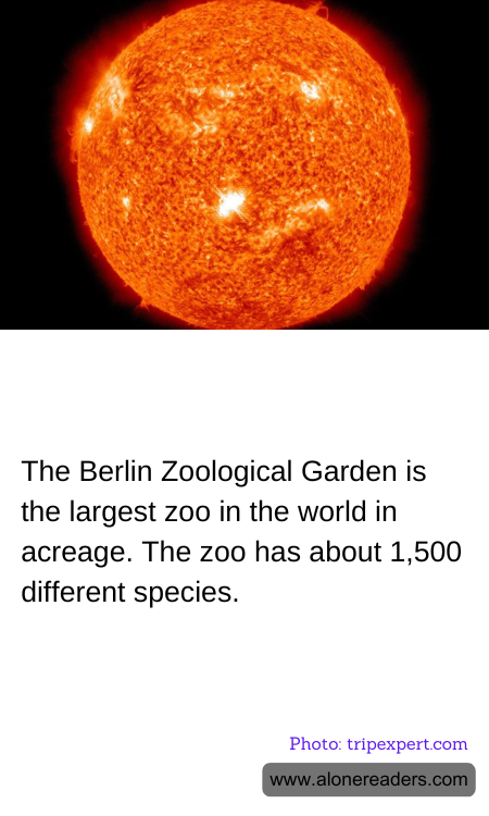 General Knowledge Learning Cards