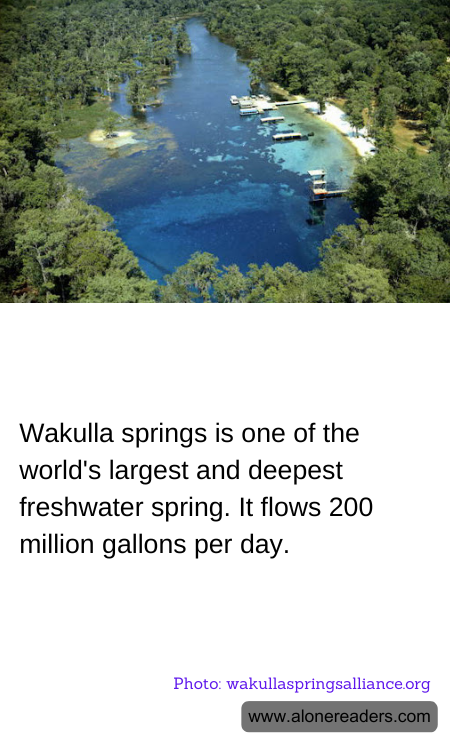 Wakulla springs is one of the world's largest and deepest freshwater spring. It flows 200 million gallons per day.