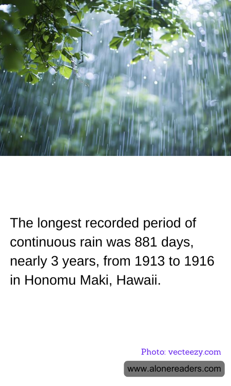 The longest recorded period of continuous rain was 881 days, nearly 3 years, from 1913 to 1916 in Honomu Maki, Hawaii.