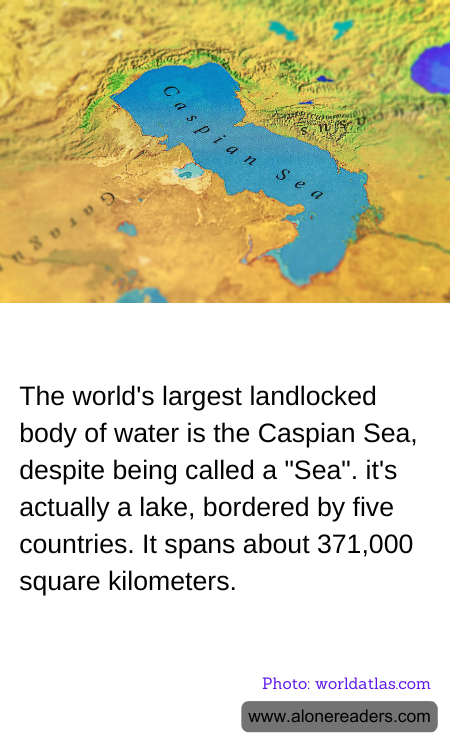 General Knowledge Learning Cards