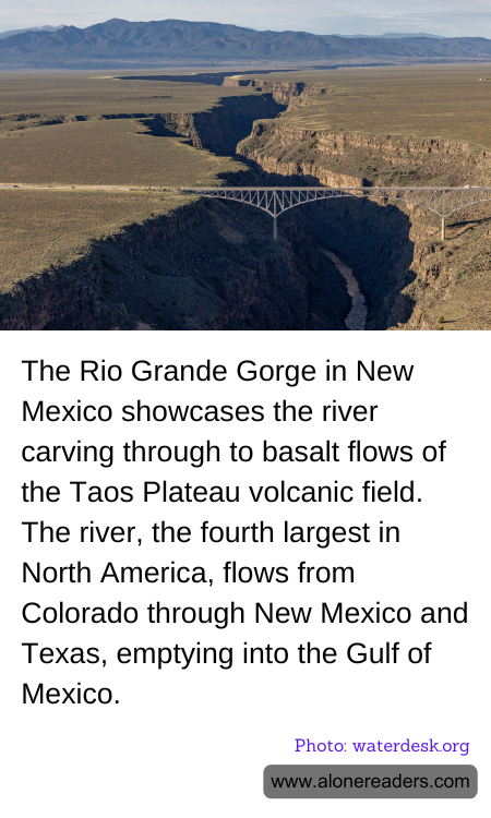 General Knowledge Learning Cards