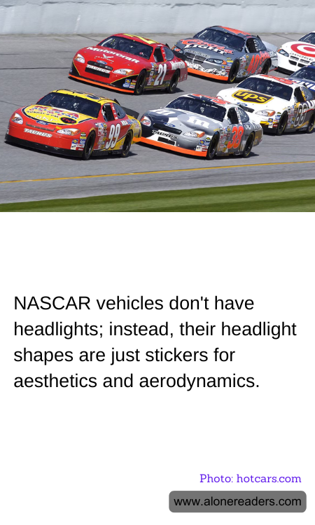 General Knowledge Learning Cards