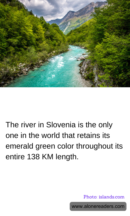 General Knowledge Learning Cards