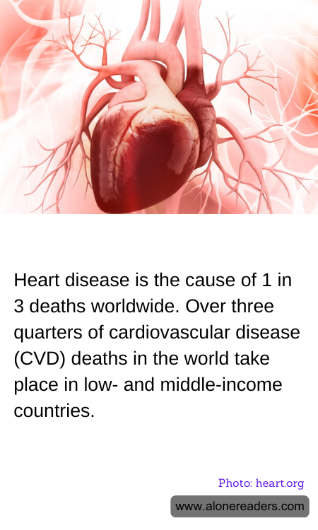 General Knowledge Learning Cards