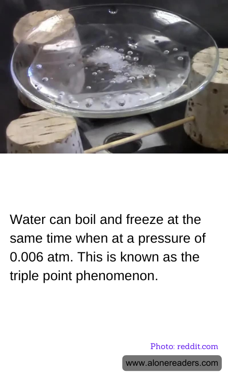 General Knowledge Learning Cards