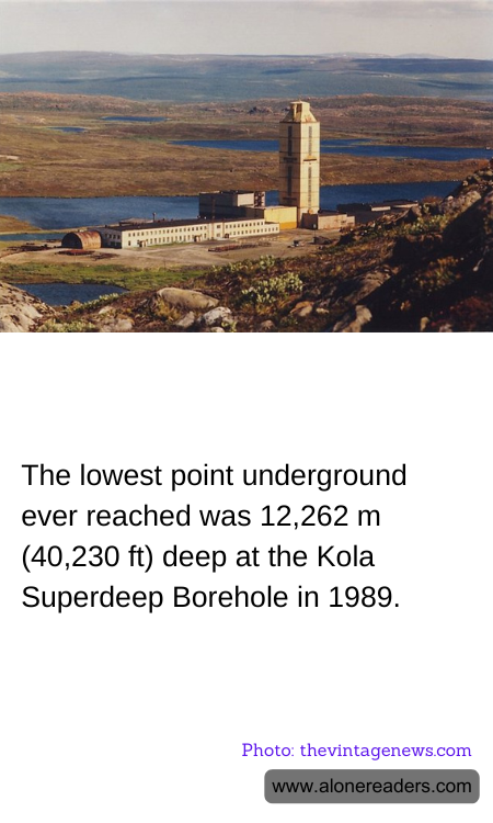 General Knowledge Learning Cards