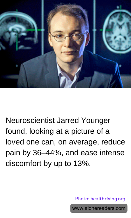 General Knowledge Learning Cards