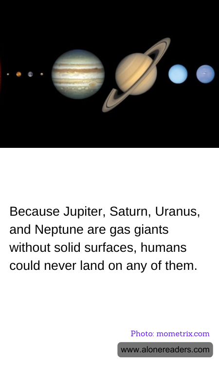 General Knowledge Learning Cards