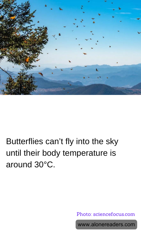 General Knowledge Learning Cards