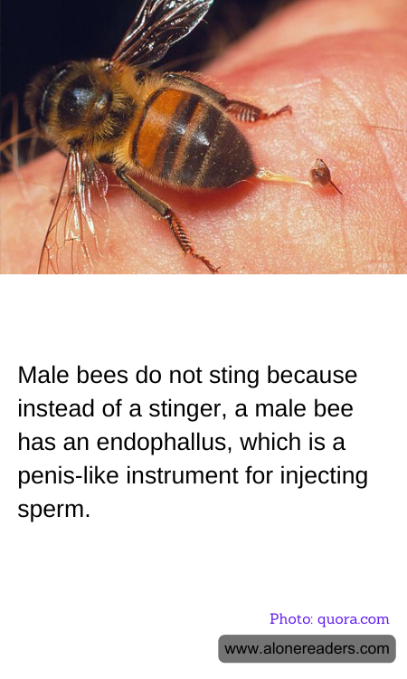 General Knowledge Learning Cards