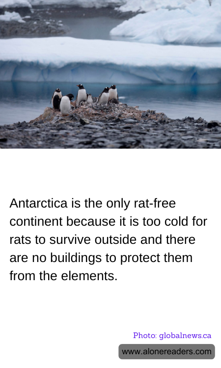 General Knowledge Learning Cards