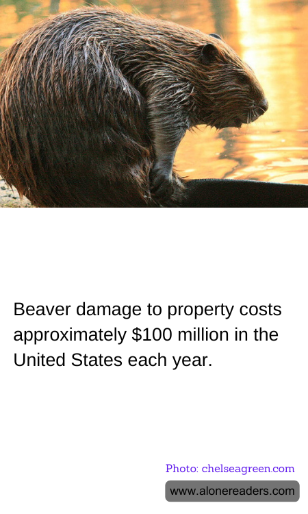 General Knowledge Learning Cards