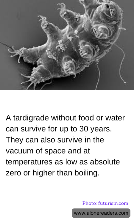 General Knowledge Learning Cards