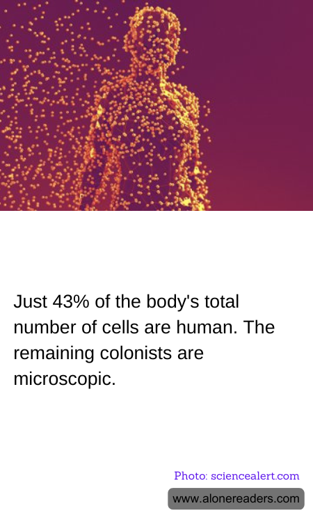 General Knowledge Learning Cards