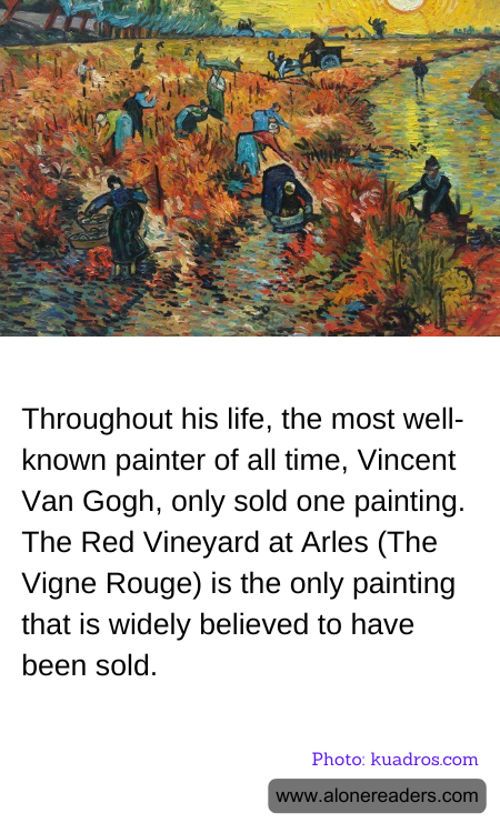 General Knowledge Learning Cards