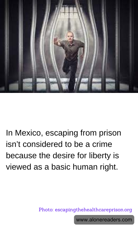 General Knowledge Learning Cards