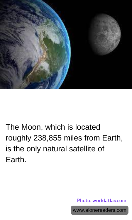 General Knowledge Learning Cards