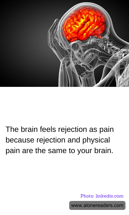 General Knowledge Learning Cards