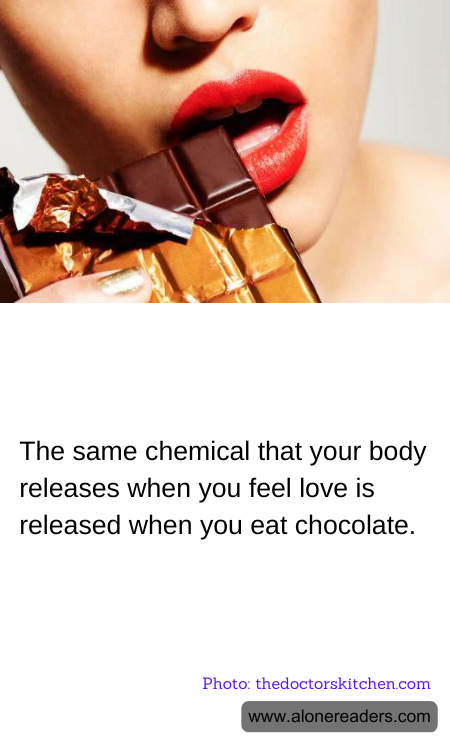 General Knowledge Learning Cards