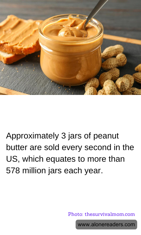 General Knowledge Learning Cards