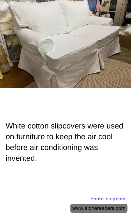 General Knowledge Learning Cards