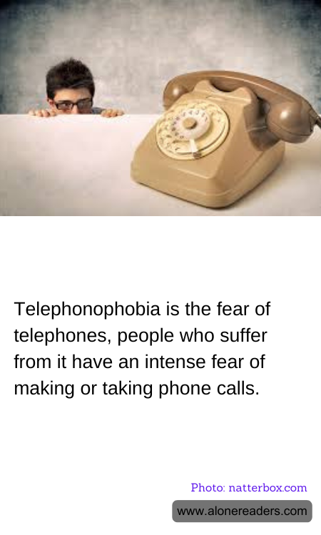 General Knowledge Learning Cards