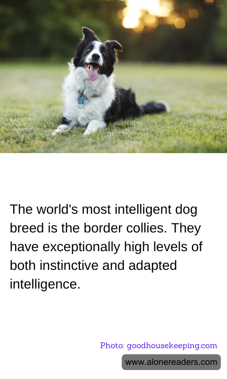 General Knowledge Learning Cards