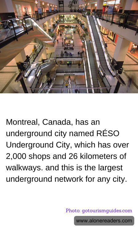 General Knowledge Learning Cards