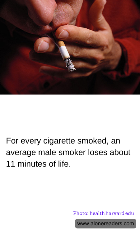 General Knowledge Learning Cards