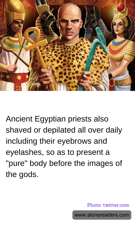 General Knowledge Learning Cards