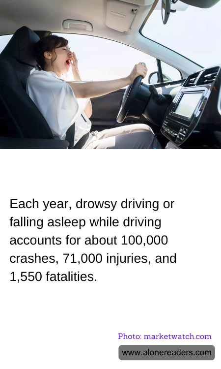 General Knowledge Learning Cards